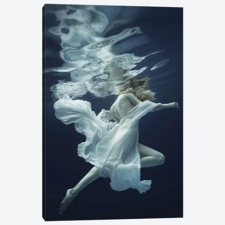 Water And Air Canvas Print #DLU2} by Dmitry Laudin Canvas Wall Art