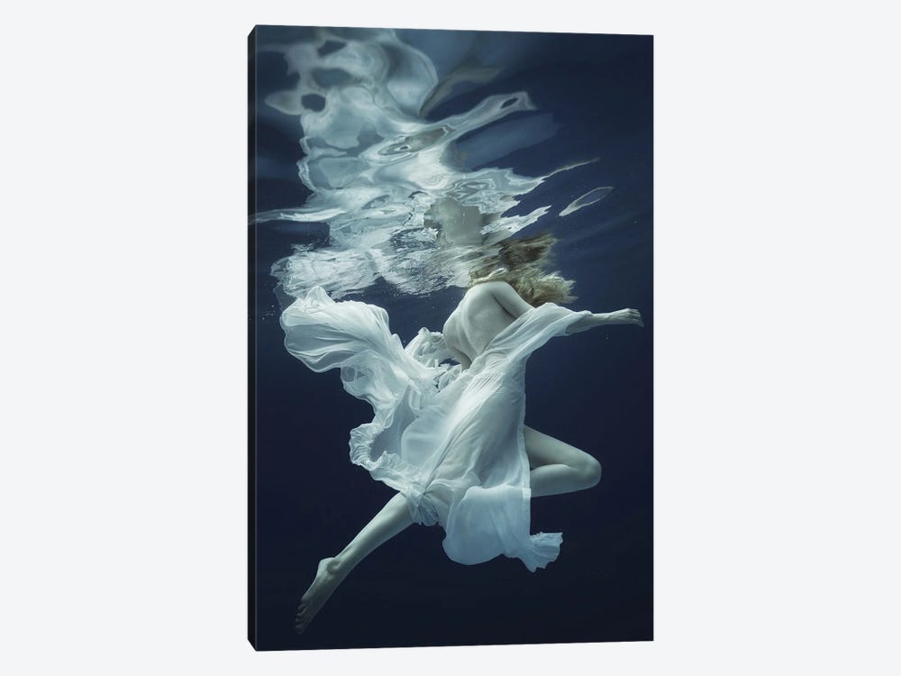 Water And Air by Dmitry Laudin 1-piece Canvas Art