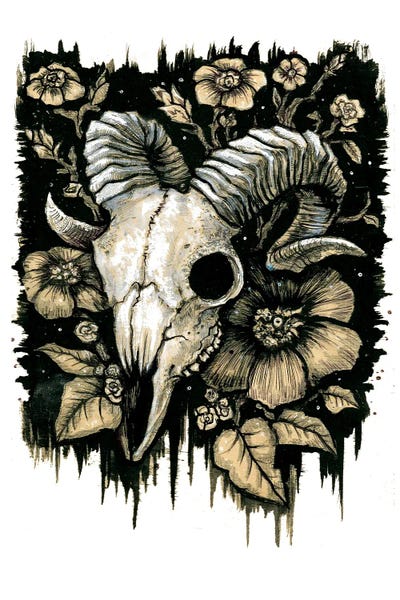 Rams: Ram Skull by Diana Levin