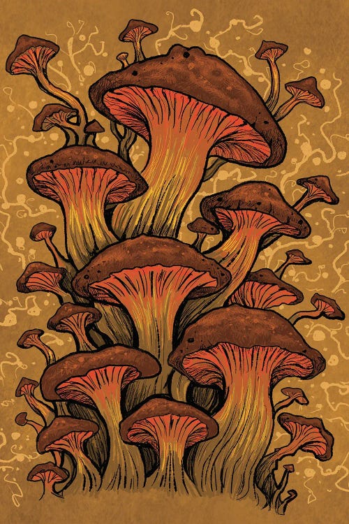 Shroom Tangle