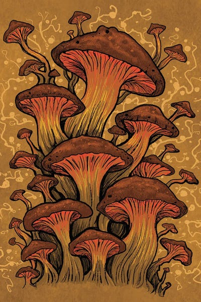 Diana Levin: Shroom Tangle by Diana Levin