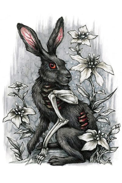 Diana Levin: Warrior by Diana Levin