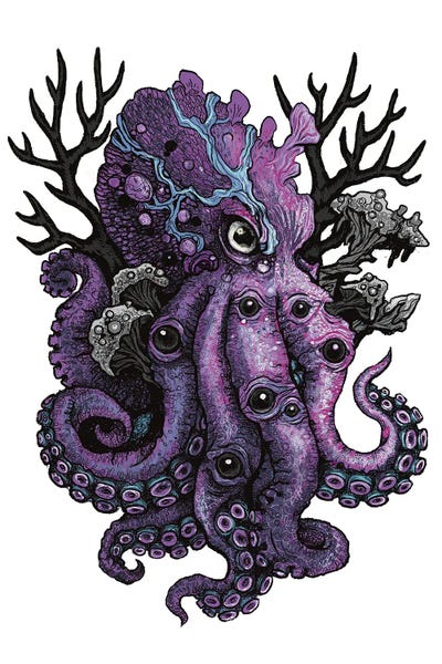 Diana Levin: Elder by Diana Levin