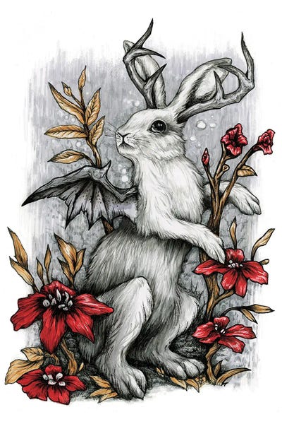 Diana Levin: Forager by Diana Levin