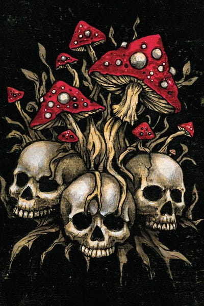 Diana Levin: Fungal Corruption by Diana Levin