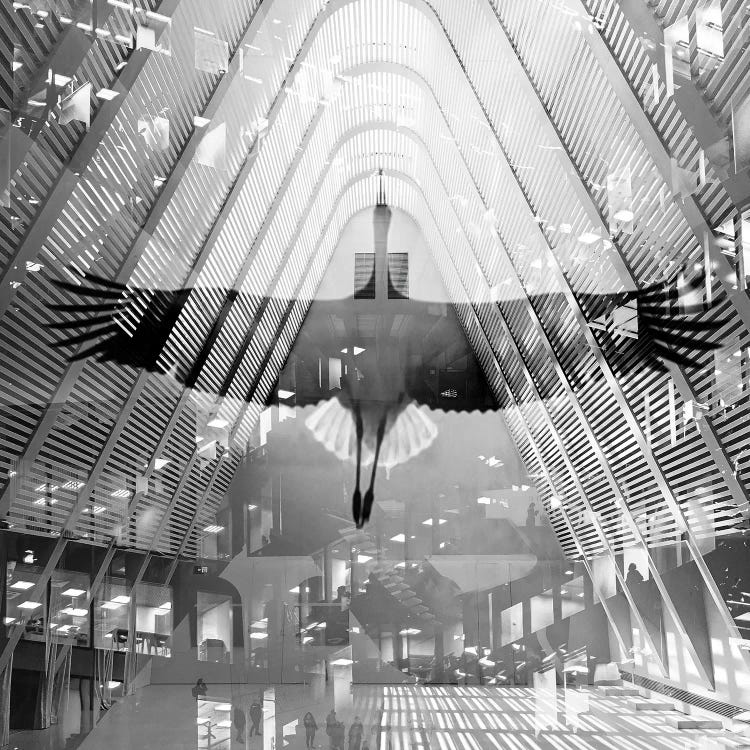 Pattern Windows XII