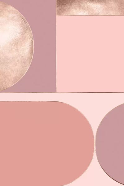 Rose Diptych A by Danilo de Alexandria framed wall art