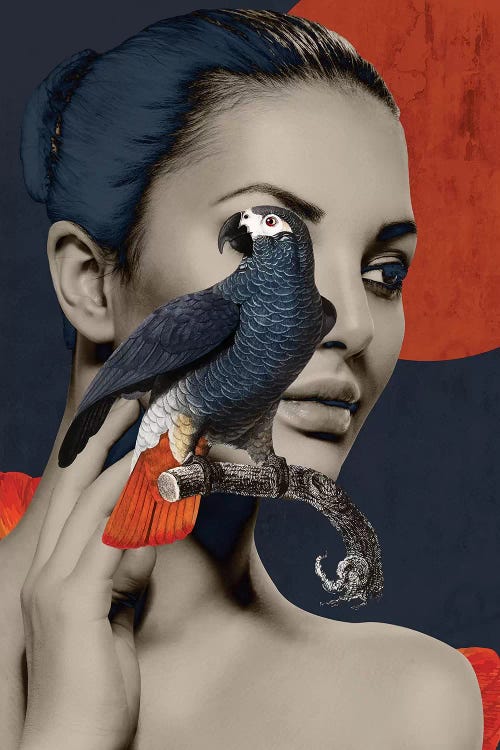 Woman Bird Diptych I