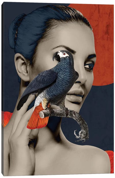 Woman Bird Diptych I Canvas Art Print - Multimedia Portraits