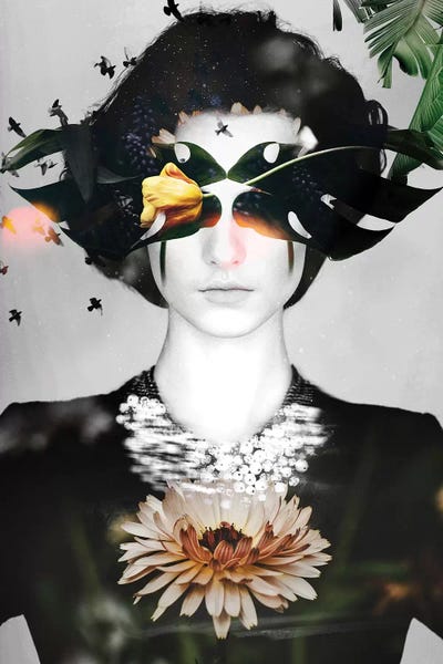 Woman Flowers by Danilo de Alexandria framed wall art