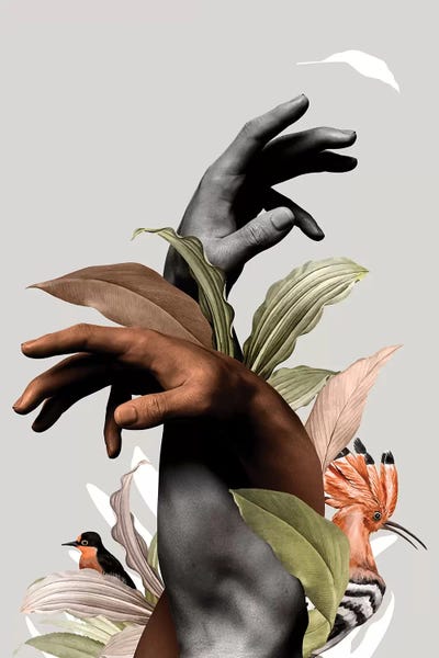 Hand With Flower by Danilo de Alexandria framed wall art