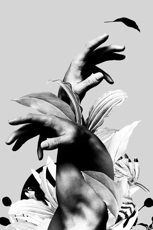 Hand With Flower In Black And White
