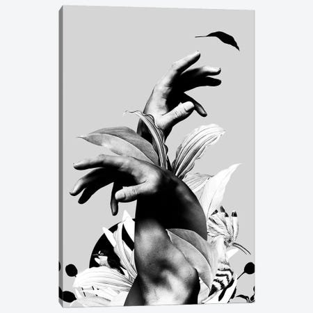Hand With Flower In Black And White Canvas Print #DLX173} by Danilo de Alexandria Canvas Wall Art