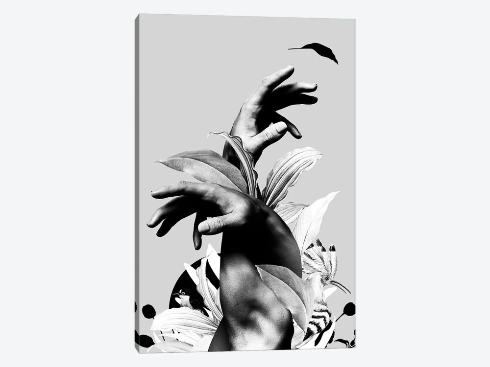 Hand With Flower In Black And White by Danilo de Alexandria 1-piece Canvas Print