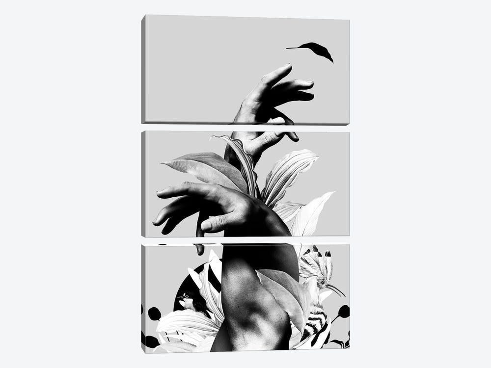 Hand With Flower In Black And White by Danilo de Alexandria 3-piece Art Print