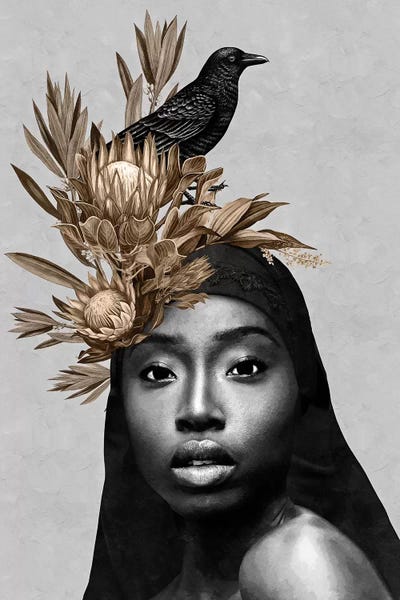 Composite Photography: Bird Black by Danilo de Alexandria