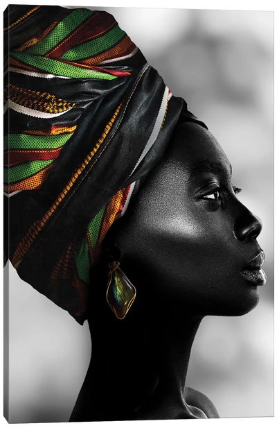 African Luxury Canvas Art Print - Danilo de Alexandria