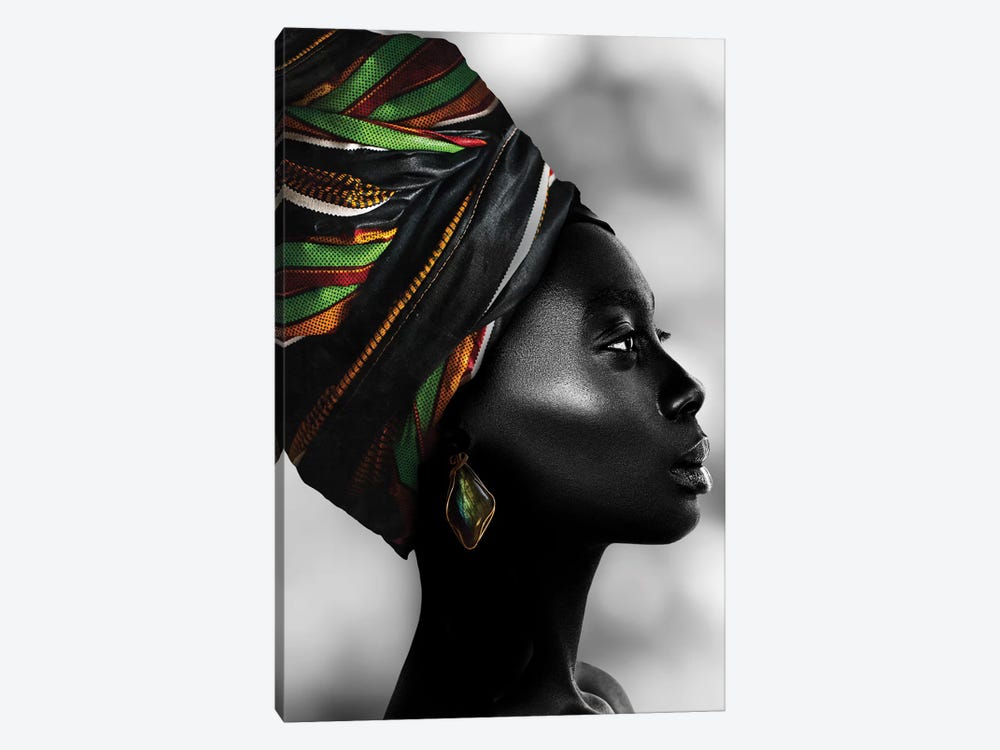 African Luxury by Danilo de Alexandria 1-piece Canvas Wall Art