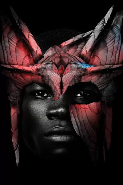 Bird Man Black by Danilo de Alexandria canvas print