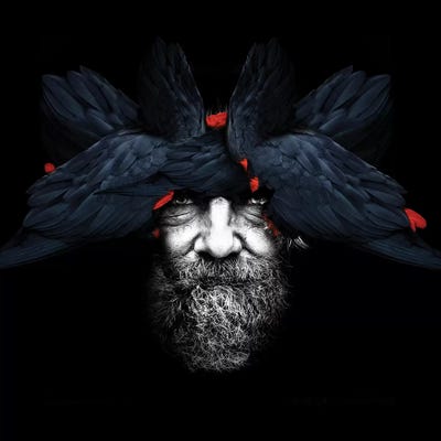 Bird Man | Square by Danilo de Alexandria framed wall art