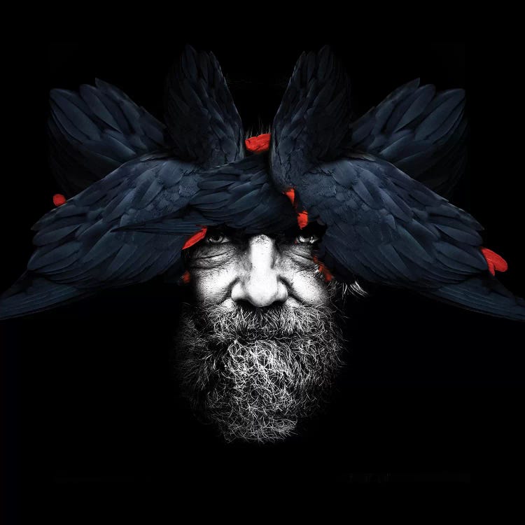 Bird Man | Square by Danilo de Alexandria wall art