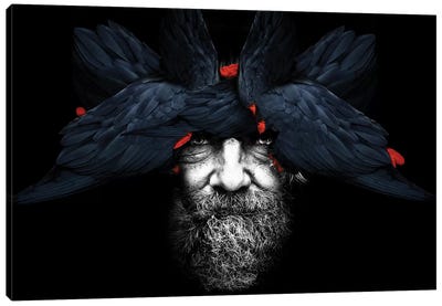 Bird Man Canvas Art Print - Multimedia Portraits