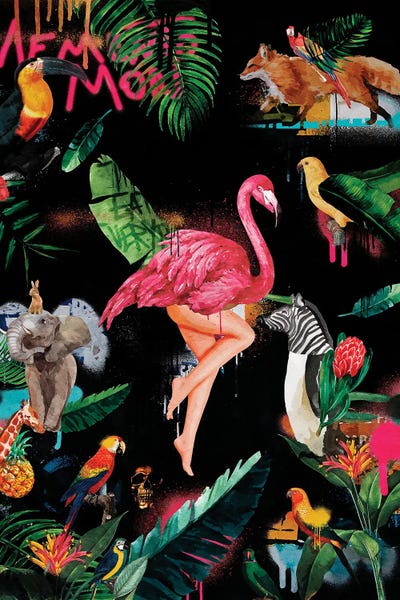 Flamingos: Memento Mori by Danilo de Alexandria