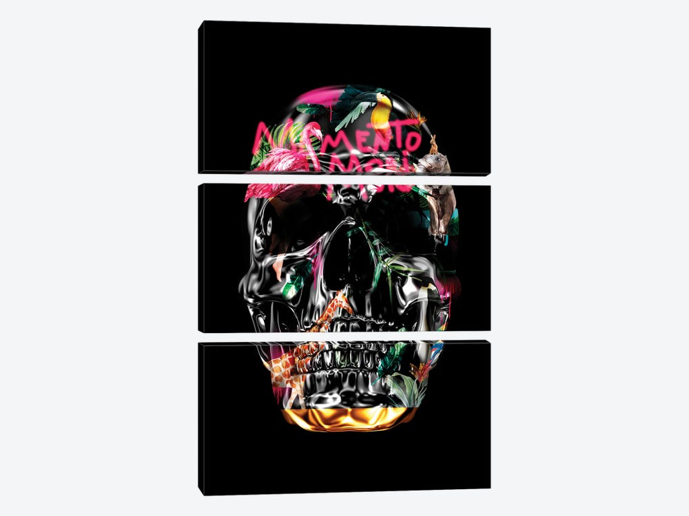Memento Mori | Skulls Black by Danilo de Alexandria 3-piece Canvas Art Print