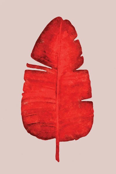 Red | Leaf II by Danilo de Alexandria framed wall art