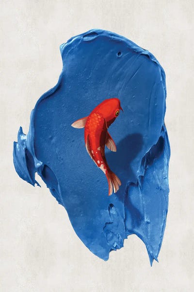 Koi: Blue Dream IV by Danilo de Alexandria