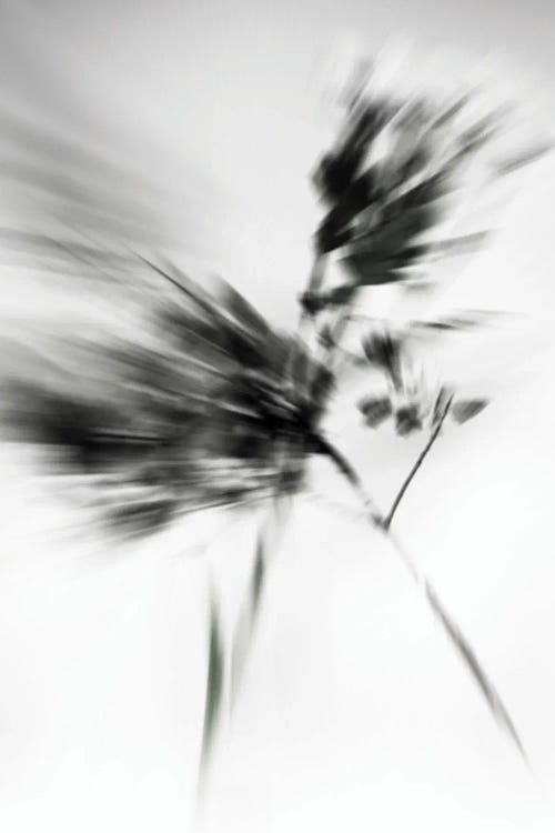 Abstract Motion I