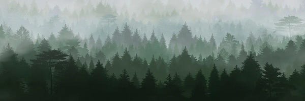 Danilo de Alexandria