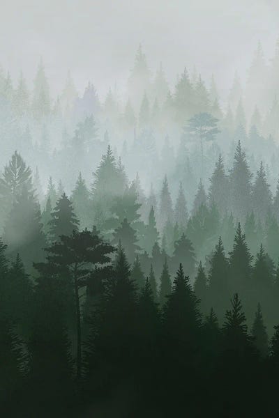 Danilo de Alexandria: Abstract Scandinavian XII by Danilo de Alexandria