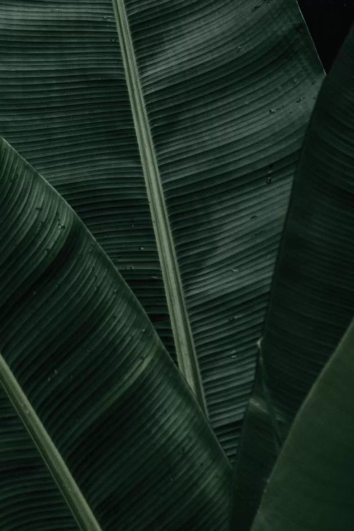 Geometric IV by Danilo de Alexandria wall art