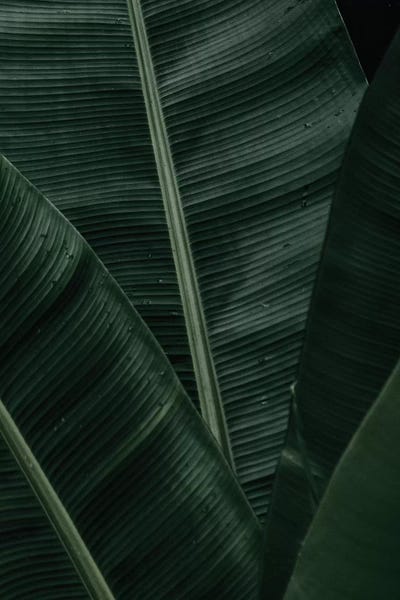 Danilo de Alexandria: Geometric IV by Danilo de Alexandria