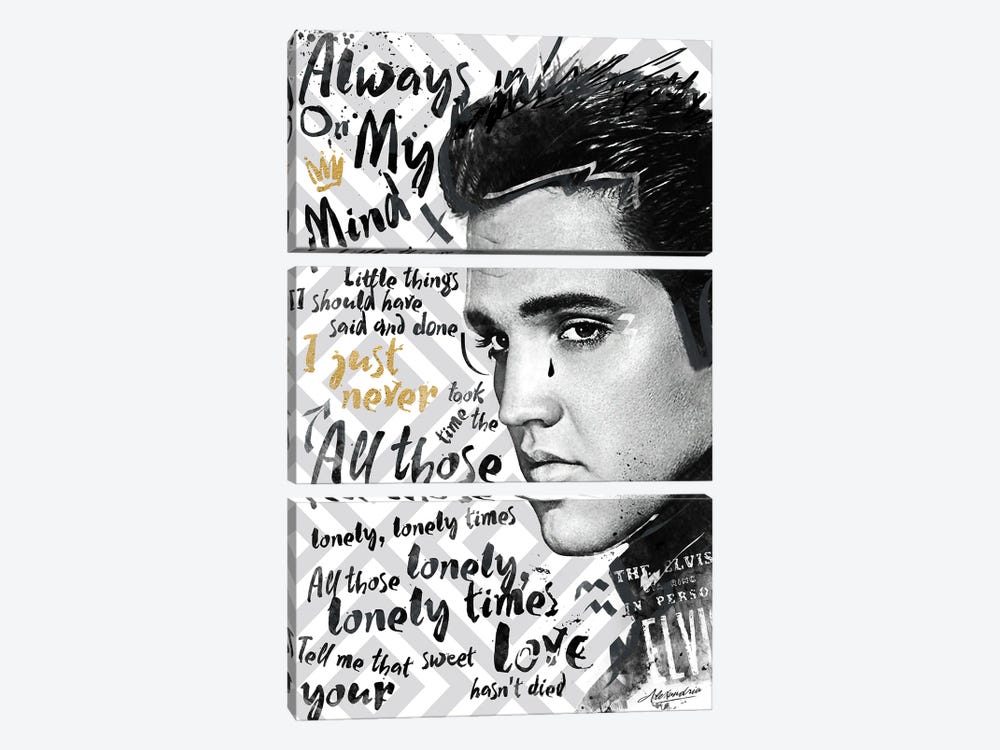 Elvis - Always on my Mind by Danilo de Alexandria 3-piece Canvas Wall Art