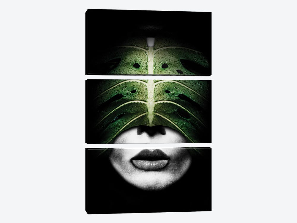 Woman Leaf Green by Danilo de Alexandria 3-piece Canvas Artwork