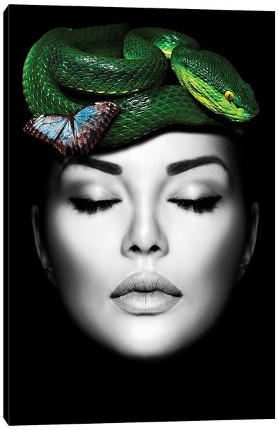 Woman Snake Green Canvas Art Print - Snake Art