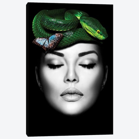 Woman Snake Green Canvas Print #DLX516} by Danilo de Alexandria Canvas Art Print