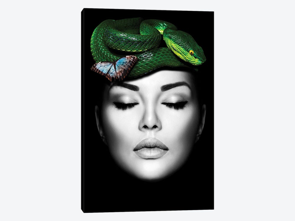 Woman Snake Green by Danilo de Alexandria 1-piece Canvas Print