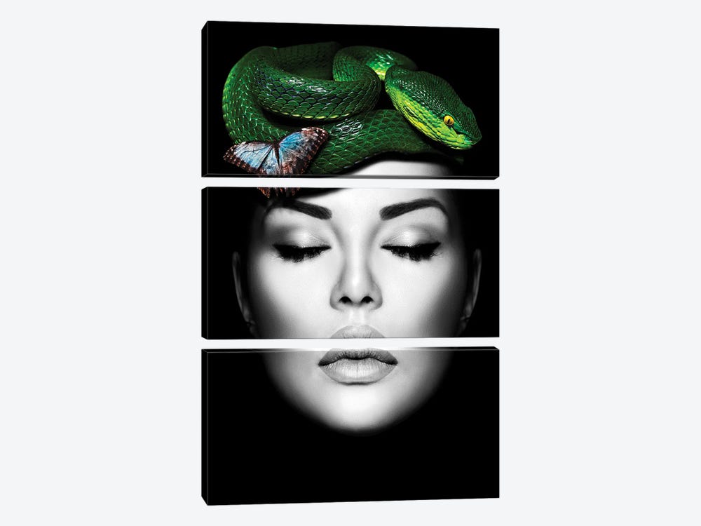 Woman Snake Green by Danilo de Alexandria 3-piece Canvas Art Print