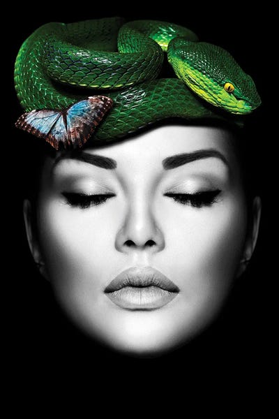Snakes: Woman Snake Green by Danilo de Alexandria