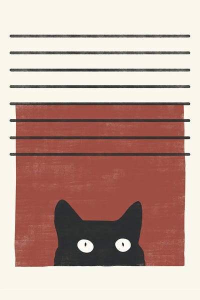 Black Cats: Cat I by Danilo de Alexandria