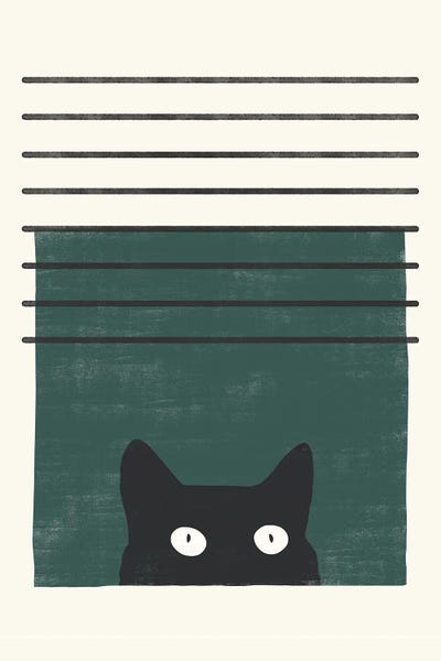 Black Cats: Cat II by Danilo de Alexandria