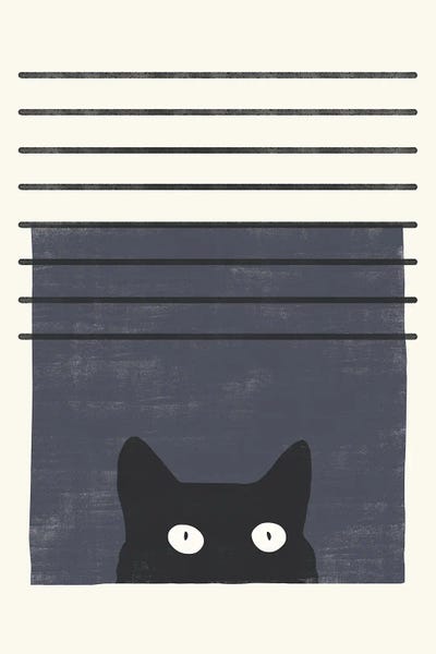 Black Cats: Cat III by Danilo de Alexandria