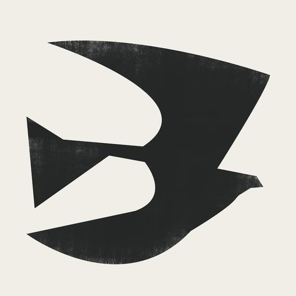 Black & White Minimalist Décor: Bird Minimal VII by Danilo de Alexandria