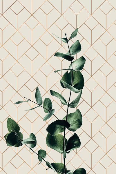 Leaf Art IV by Danilo de Alexandria canvas print