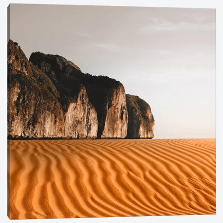 Sand I Canvas Print #DLX684} by Danilo de Alexandria Canvas Print