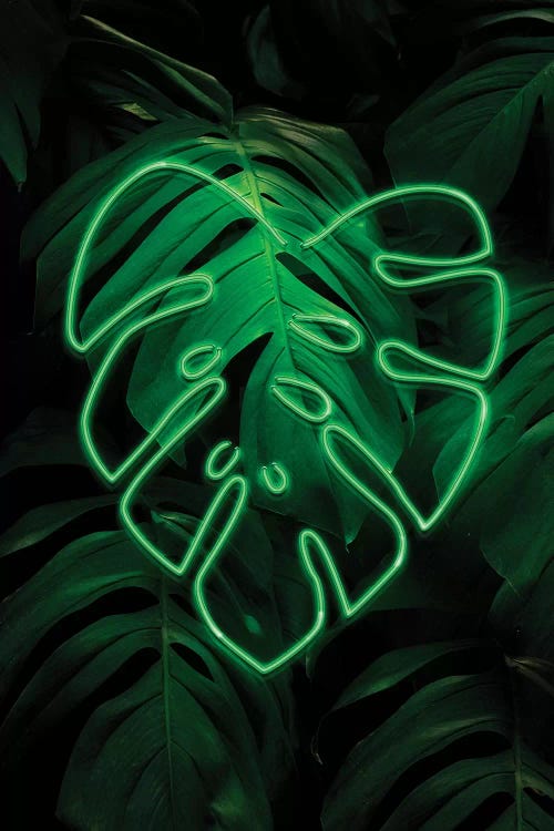 Leaf Art XI by Danilo de Alexandria wall art