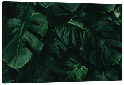 Leaf Green I Canvas Art Print - Danilo de Alexandria
